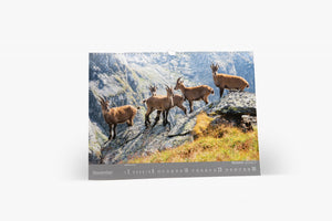 Kalender - Montafon Berg Blicke 2025